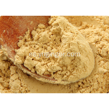 Polvo de jengibre molido tostado Good Benefit World Spice